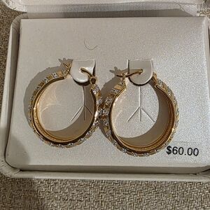 Elegant Gold Hoop Earrings